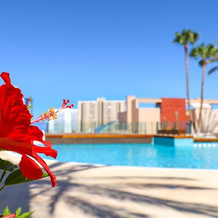 Relax In Paraiso 帕莱索海滩 外观 照片